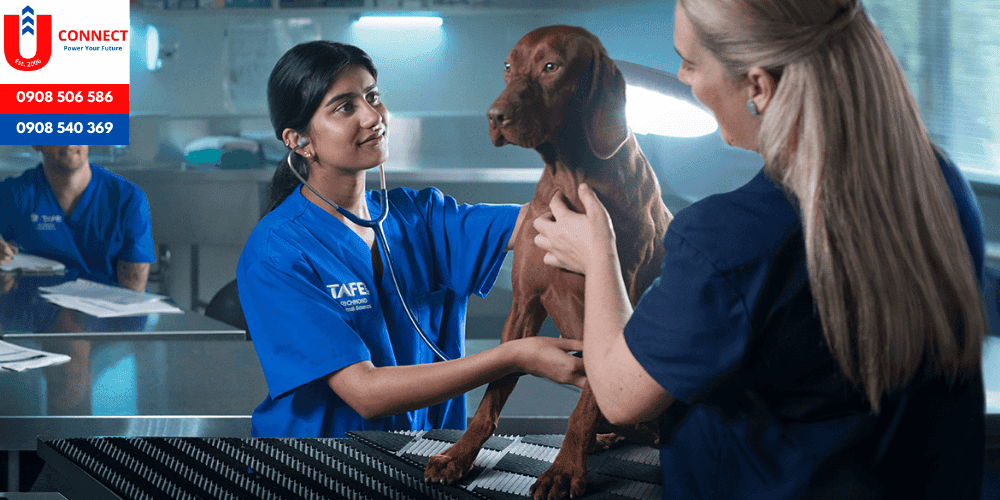 Trường công lập đào tạo nghề tại Úc